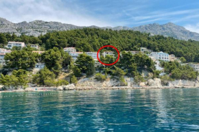 Apartments near the sea Ružica